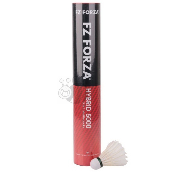 Forza-Hybrid-5000-3in1-snelheid-77-4698-1